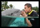 Olympic diver Tom Daley at Seaworld, Florida.